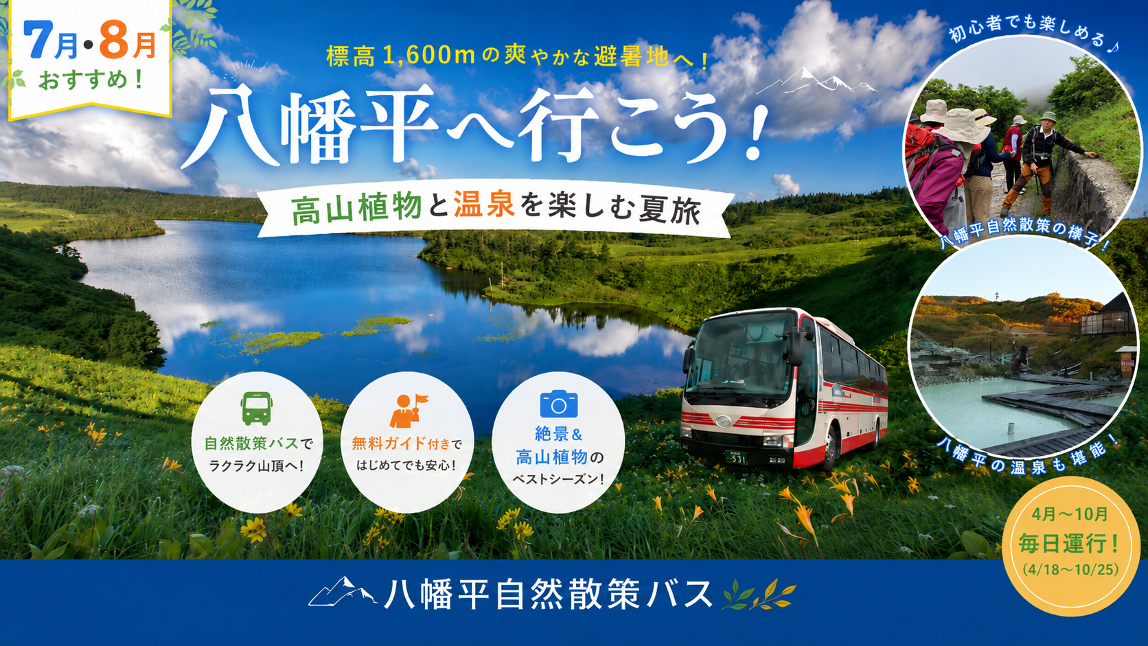 八幡平へ行こう 高山植物と温泉を楽しむ夏旅（7月・8月おすすめ）バスで行く標高1,600mの避暑