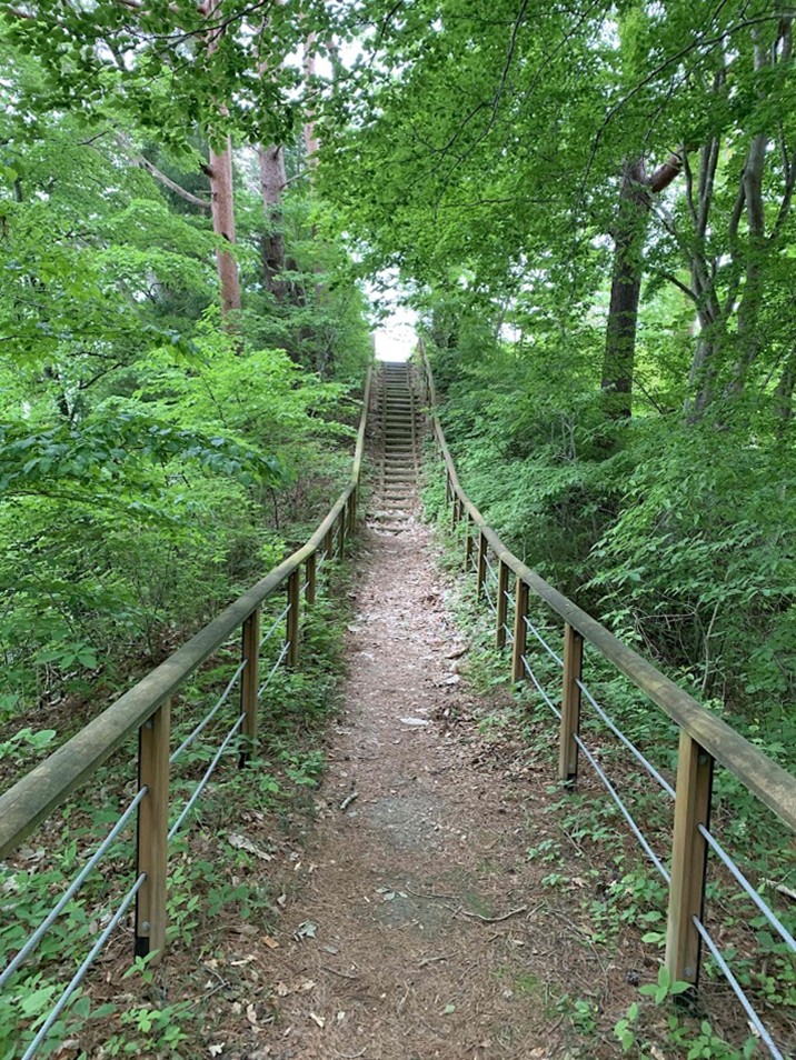 竜神崎展望所への道